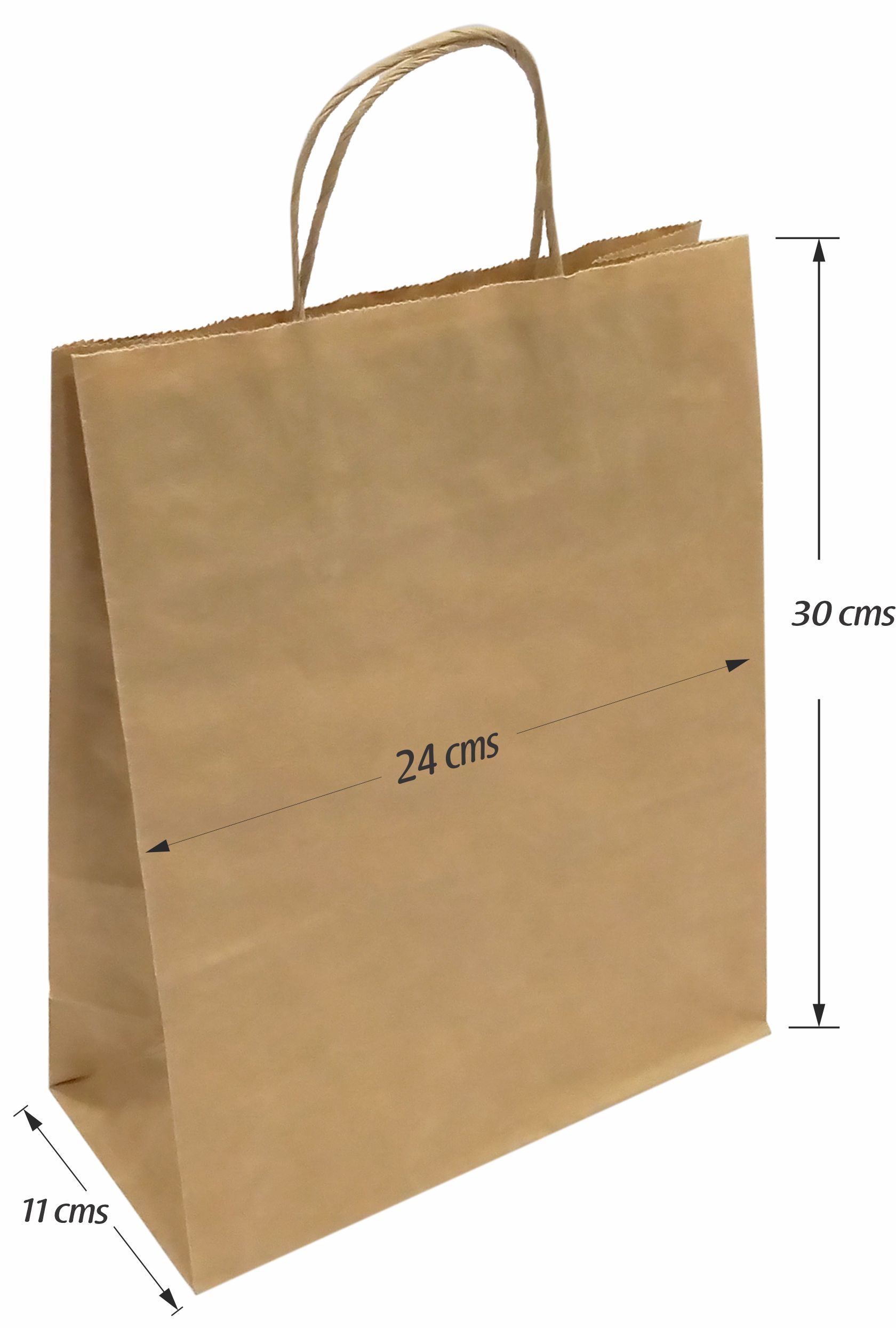 BOLSA ESTANDAR 24X30X11 CM