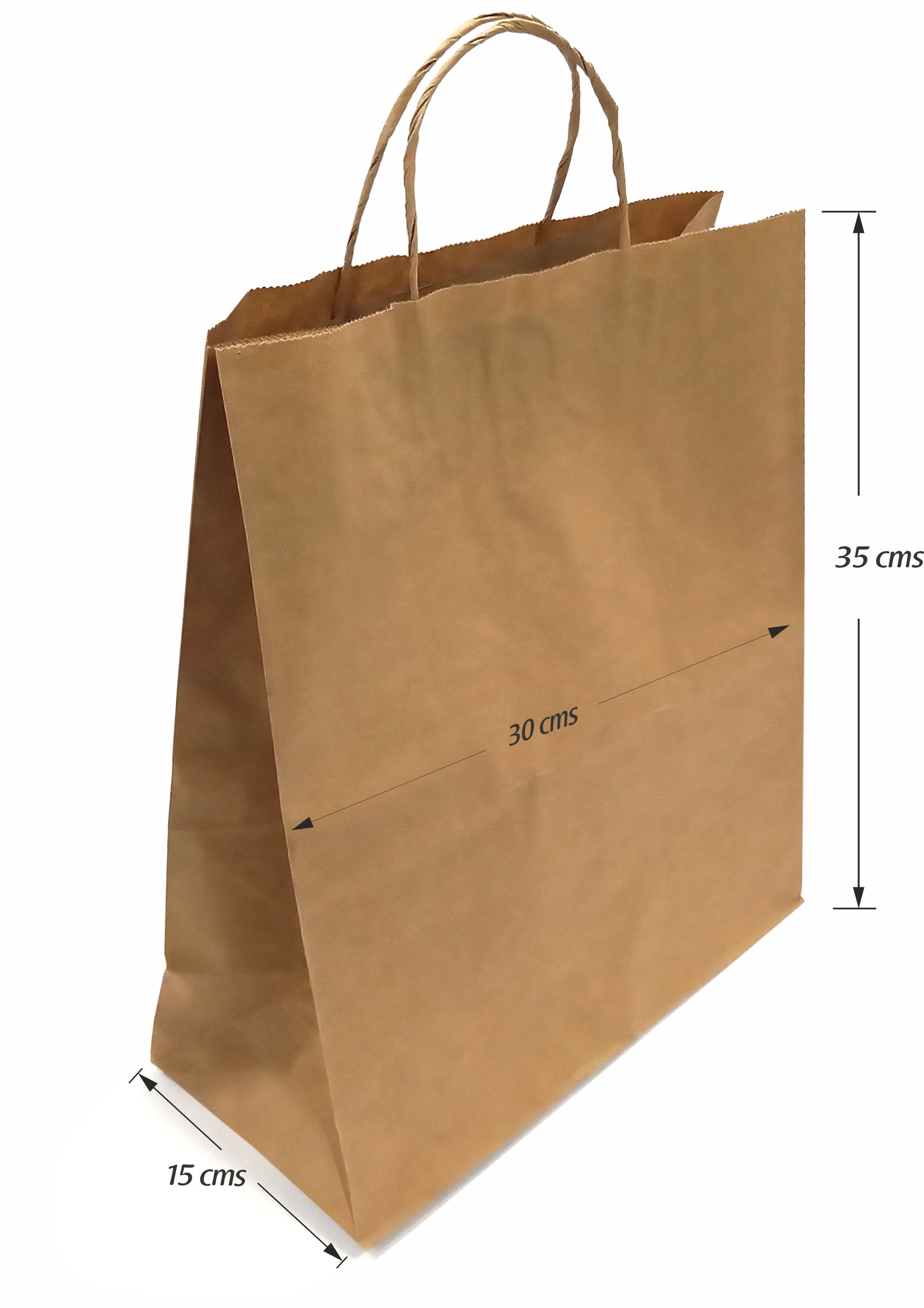 BOLSA DOMICILIOS 30X35X15 CM