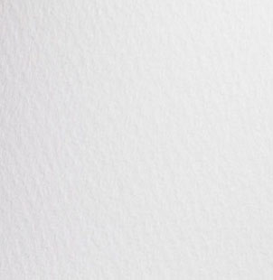 PRISMA BLANCO 2L 100 GRS