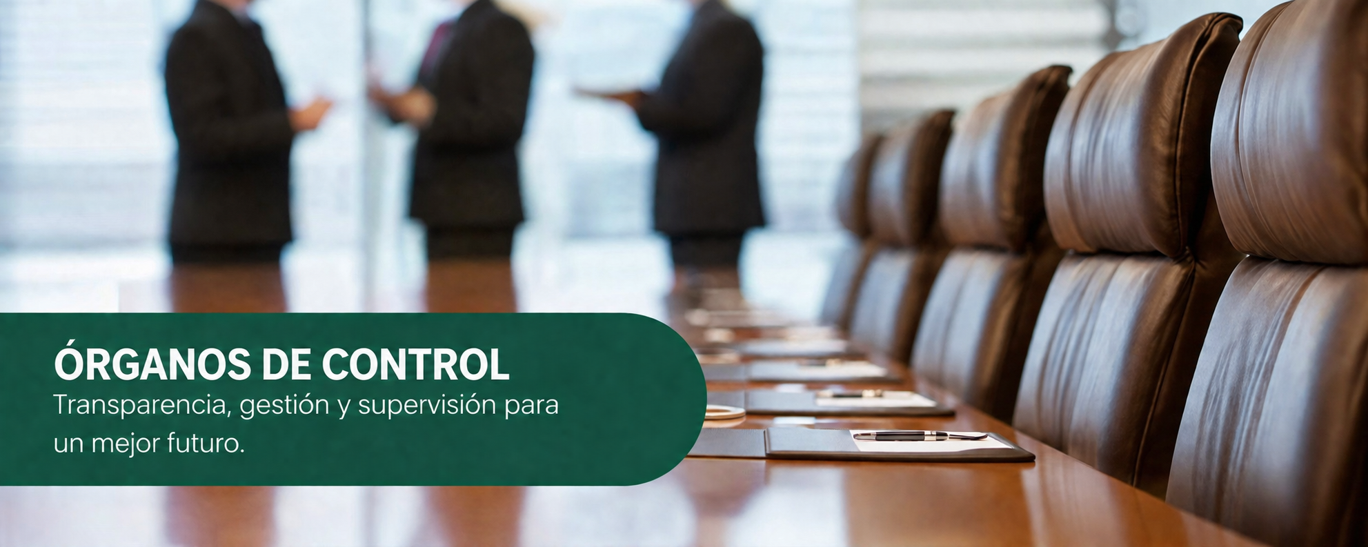 &Oacute;rganos de control